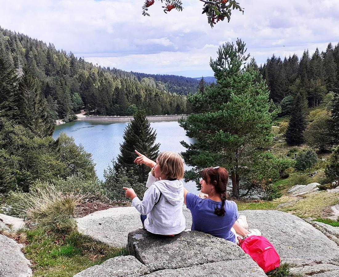 Chalet Hohneck 4 Etoiles, Vieux Bois Et Pierre, Spa, Sauna, Borne De Recharge Stosswihr Eksteriør bilde