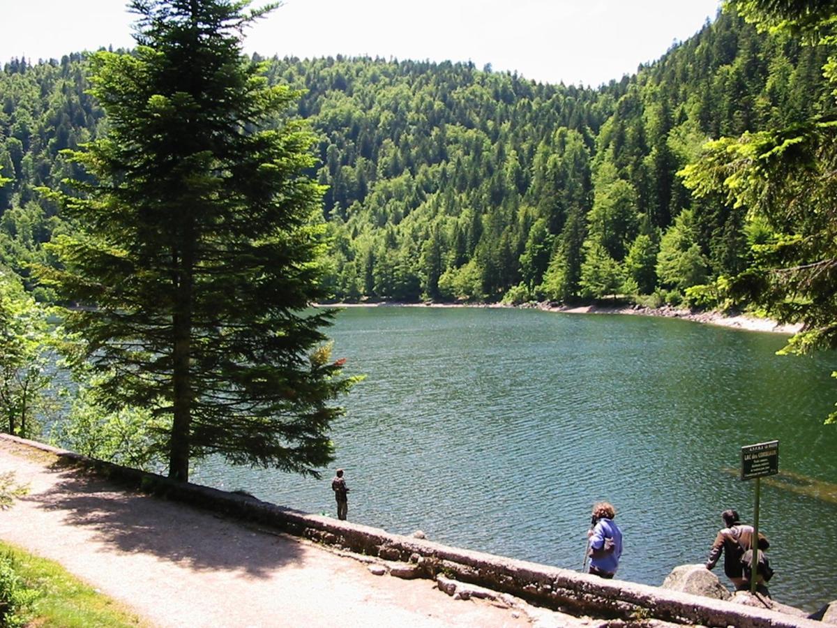 Chalet Hohneck 4 Etoiles, Vieux Bois Et Pierre, Spa, Sauna, Borne De Recharge Stosswihr Eksteriør bilde