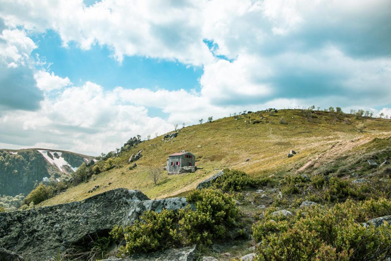 Chalet Hohneck 4 Etoiles, Vieux Bois Et Pierre, Spa, Sauna, Borne De Recharge Stosswihr Eksteriør bilde