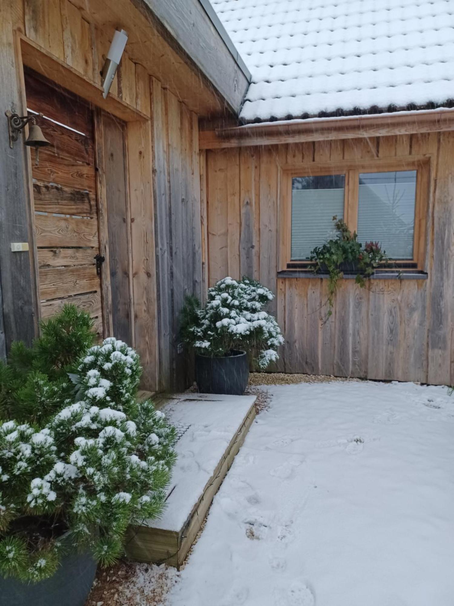 Chalet Hohneck 4 Etoiles, Vieux Bois Et Pierre, Spa, Sauna, Borne De Recharge Stosswihr Eksteriør bilde